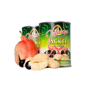 Amazon.com : Juliana Authentic Jamaican Ackee in Brine Pack of 2